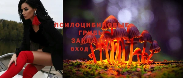 стафф Абдулино