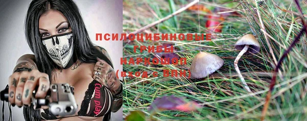 гидропоника Абаза