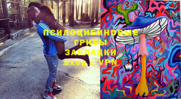 гидропоника Абаза