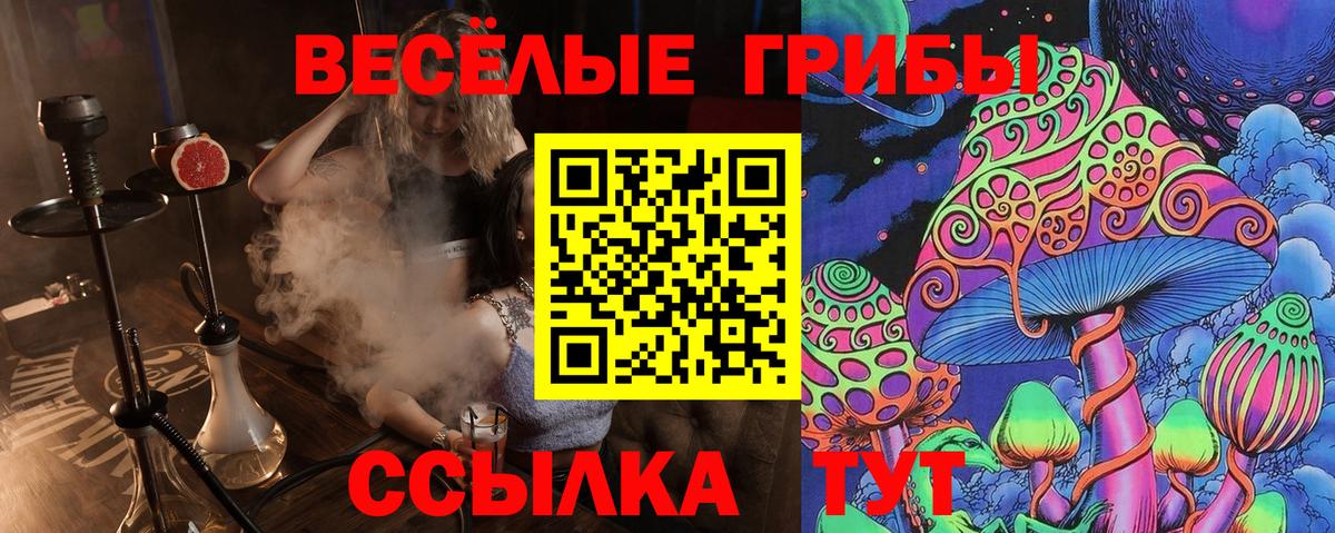 Псилоцибиновые грибы Psilocybe Волоколамск